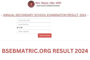 Bsebmatric.org Result 2024