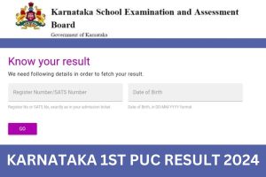 Karnataka 1st PUC Result 2024