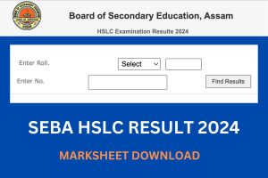 SEBA HSLC Result 2024